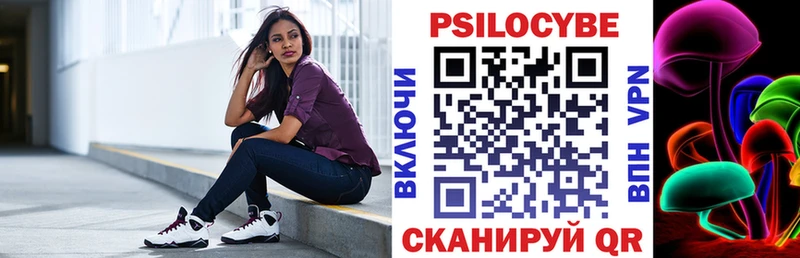 Псилоцибиновые грибы Psilocybe Куровское